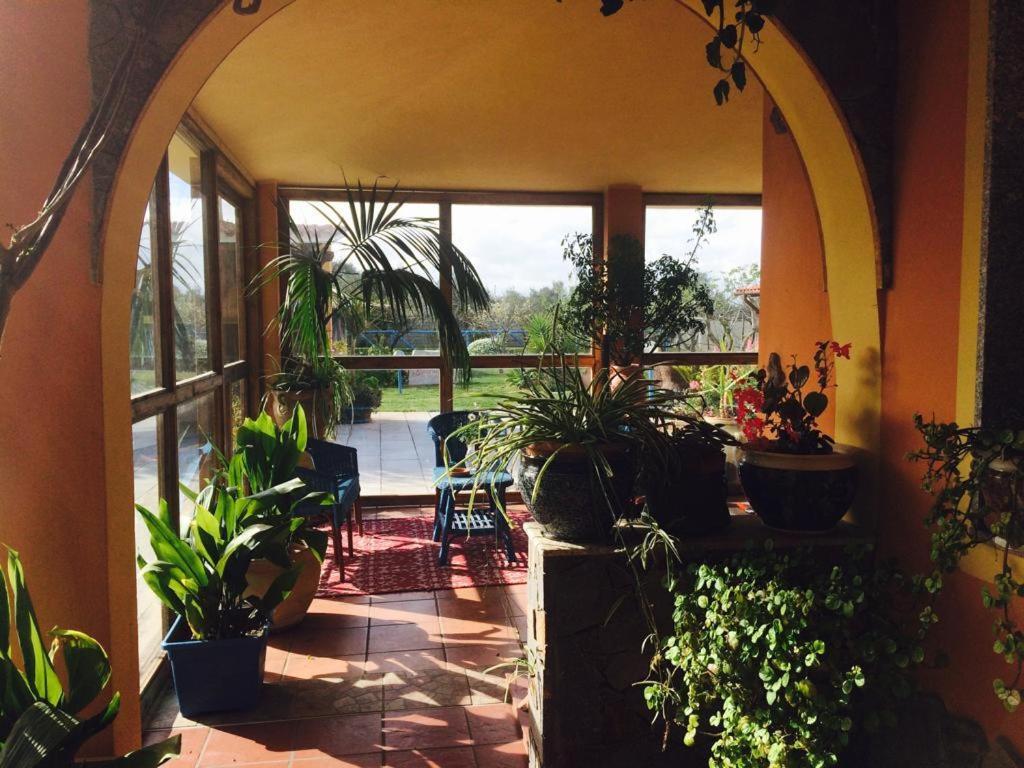 Il Bouganville Oristano Buitenkant foto