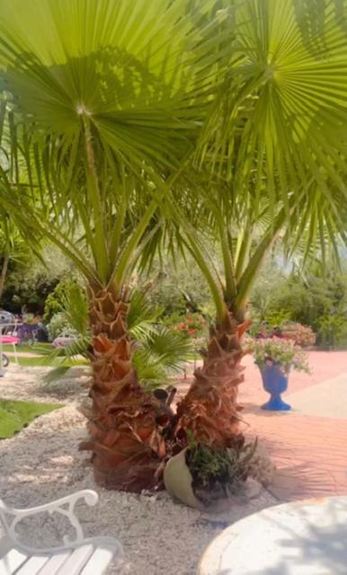 Il Bouganville Oristano Buitenkant foto